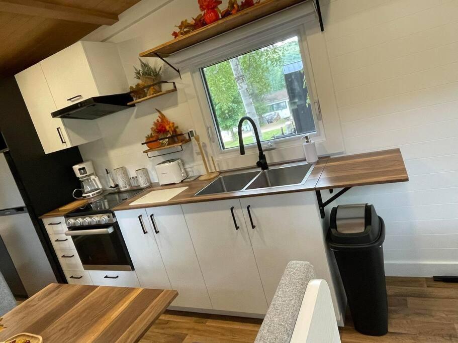 Micro Chalet Le Boise ! Saint Zenon Exterior foto